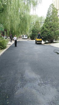 市政工程管理處 集中養(yǎng)護(hù)，筑牢城市運(yùn)行基石