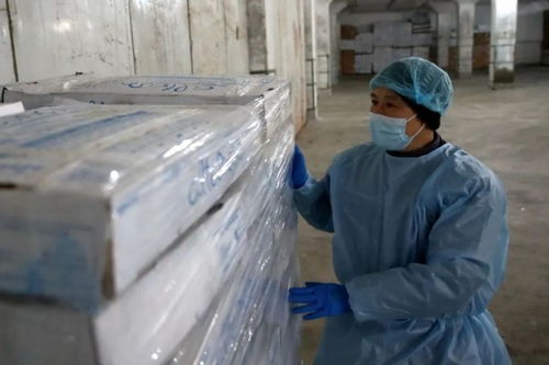 直擊上海冷庫第一線 進口冷鏈食品還能吃嗎？張文宏這樣建議